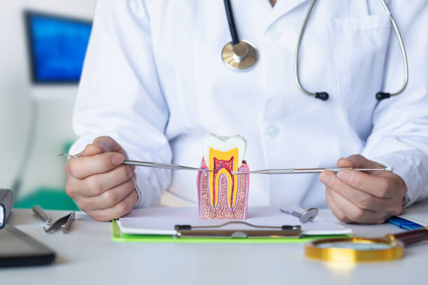 Best Emergency Dental Extractions in Eddyville, IA
